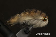 Jack Fields.jpg
