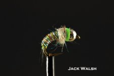 Jack Walsh.jpg