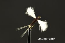 James Tyger.jpg