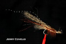Jerry Covelio.jpg