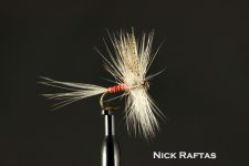Nick Raftas.jpg