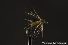 Trevor McNamee .jpg