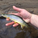 724flyfishing