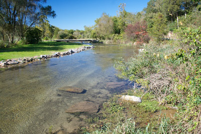 bigspring2013.jpg