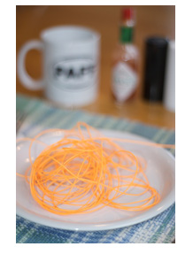 flyline.jpg