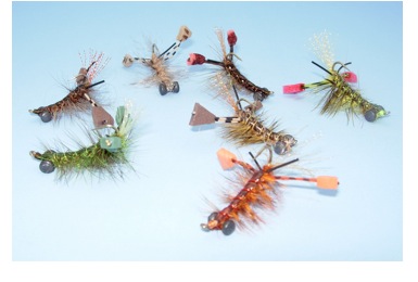 alrittcrayfish.jpeg