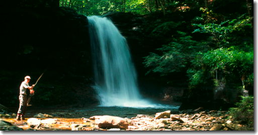 img49c4d1680594b.jpg