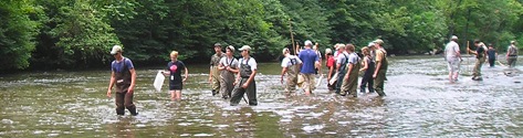 img513754c8ce7cf.jpg