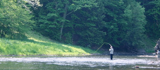 stateparks.jpg