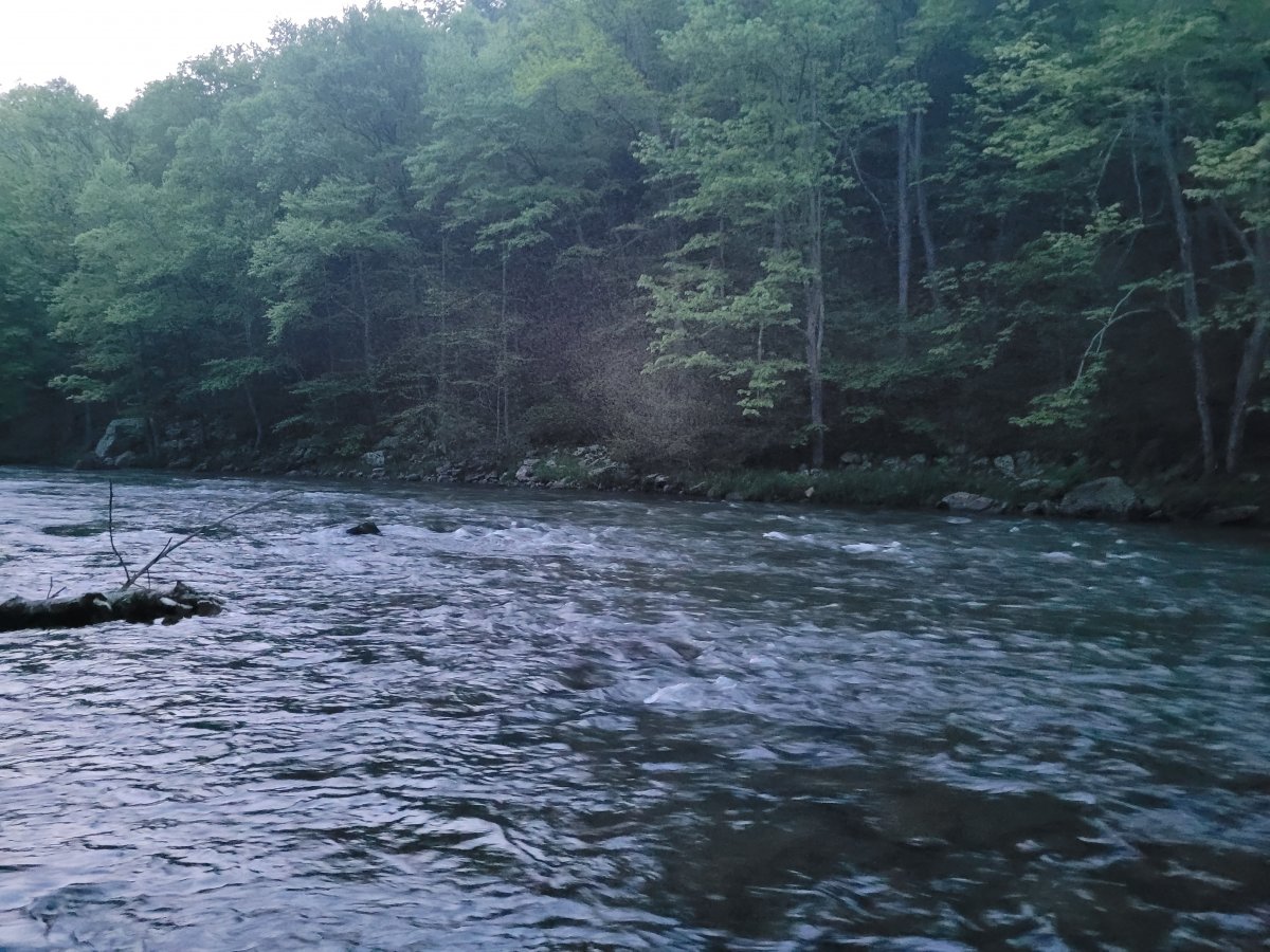 20220520_204211.jpg