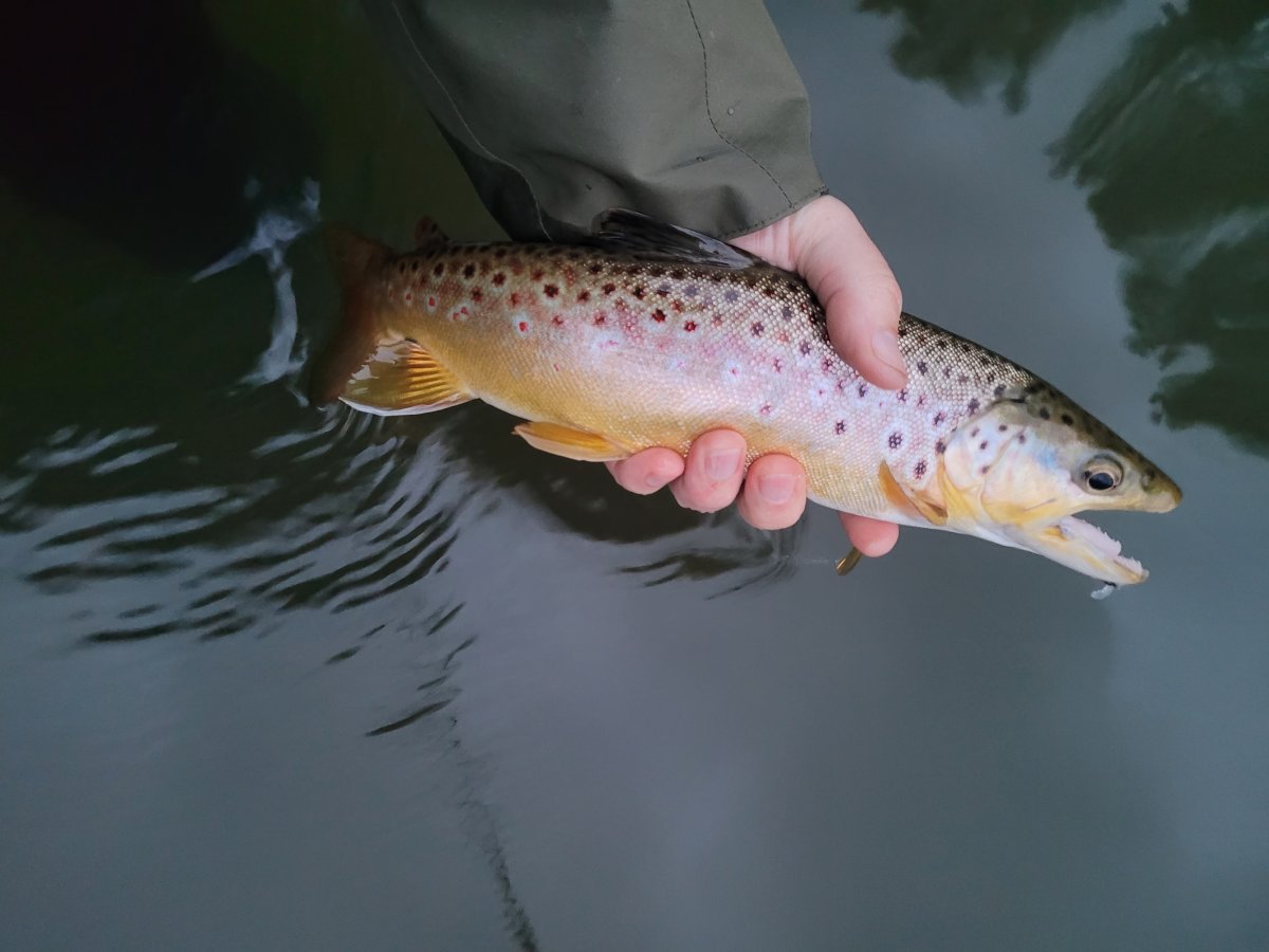 20220522_203218.jpg