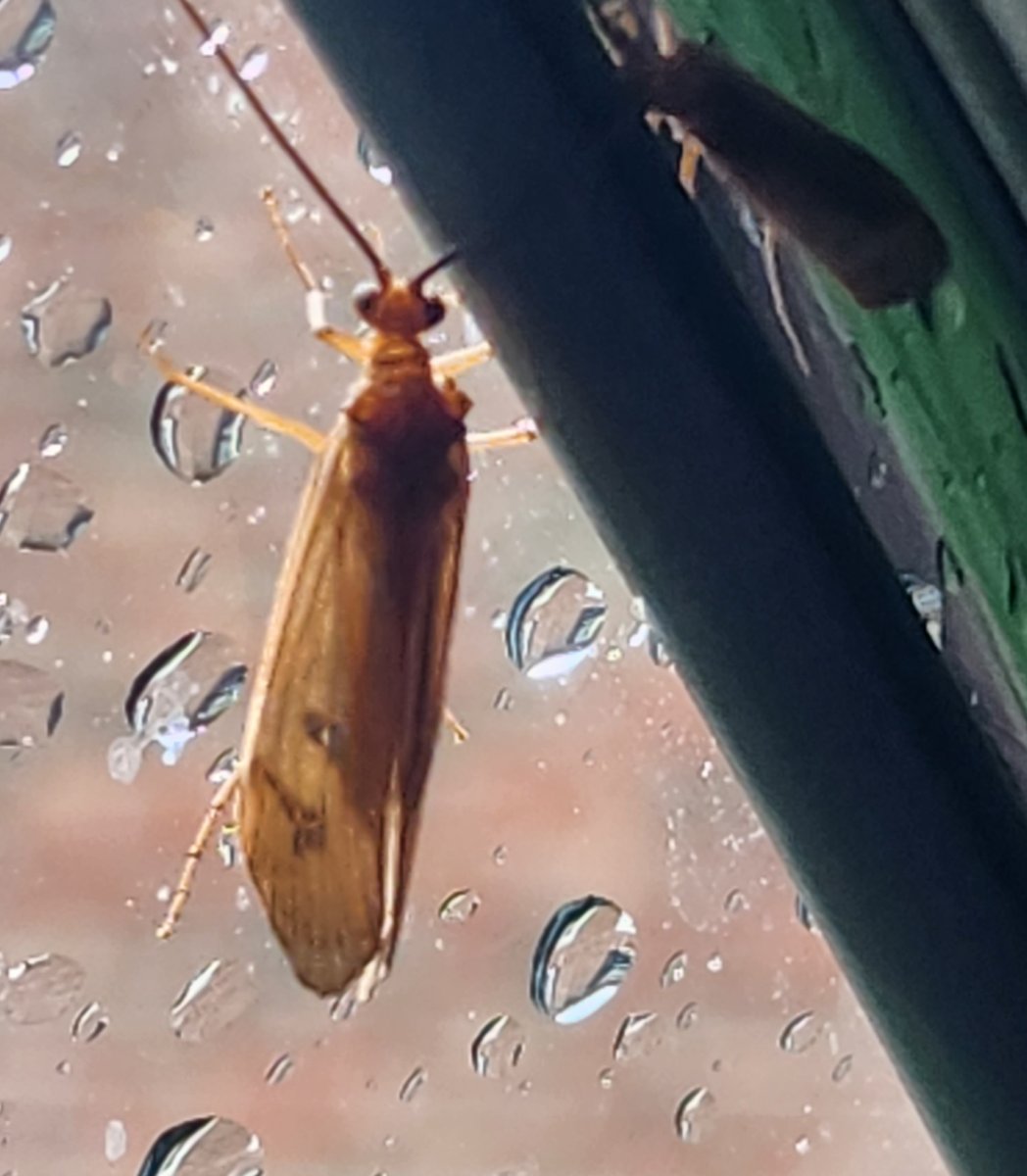 20230924_150329.jpg