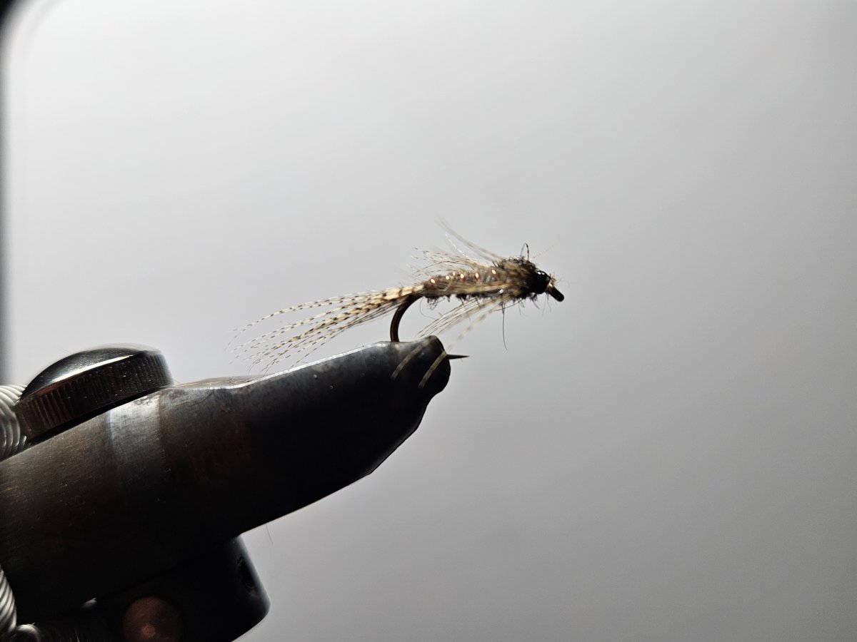 20250601_105831.jpg