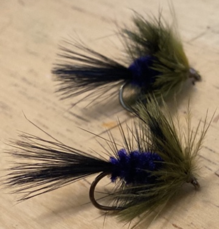 74745CBE-9168-4526-AB3A-87C73D9254E2.jpeg