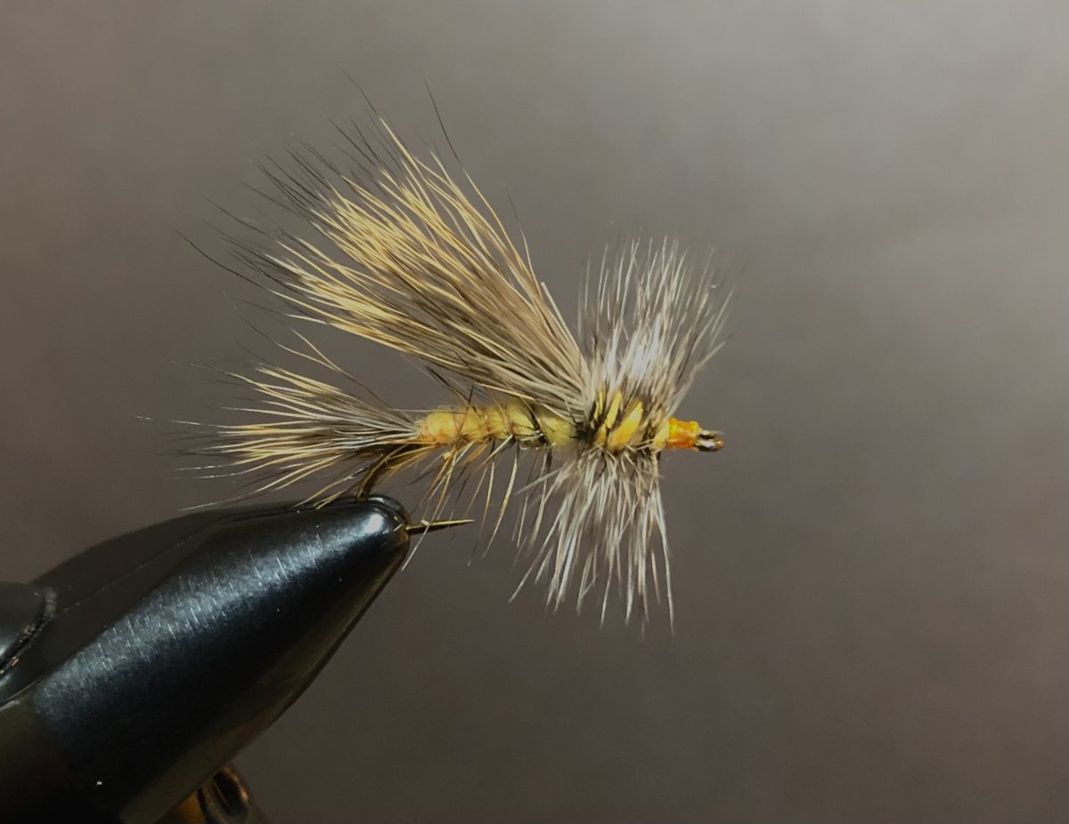 A1E42E54-F091-4FAF-A10C-1A679D94F3CF.jpeg