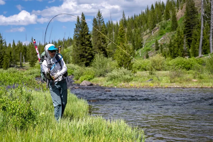 backcountry_fishing_in_yellowstone_national_park_900x600_dsc03773_0_8.jpg