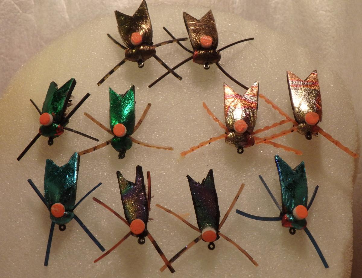 Beetles.jpg