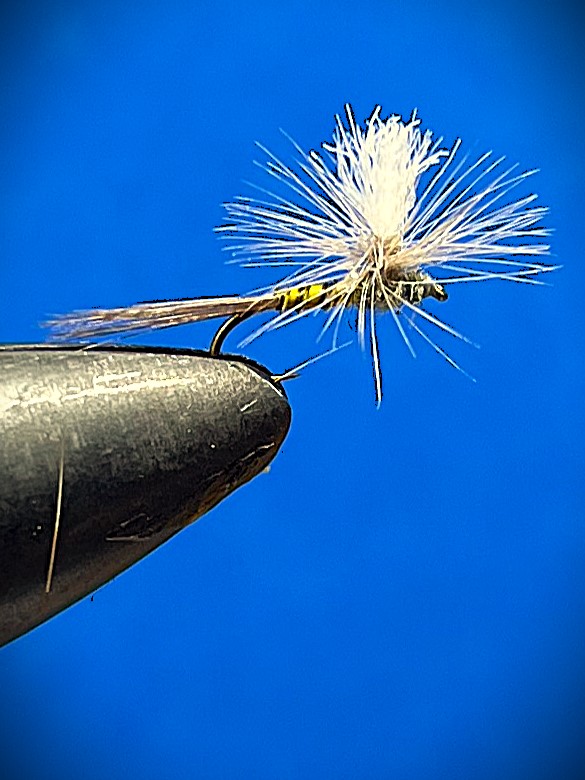 bwo parachute3.JPG
