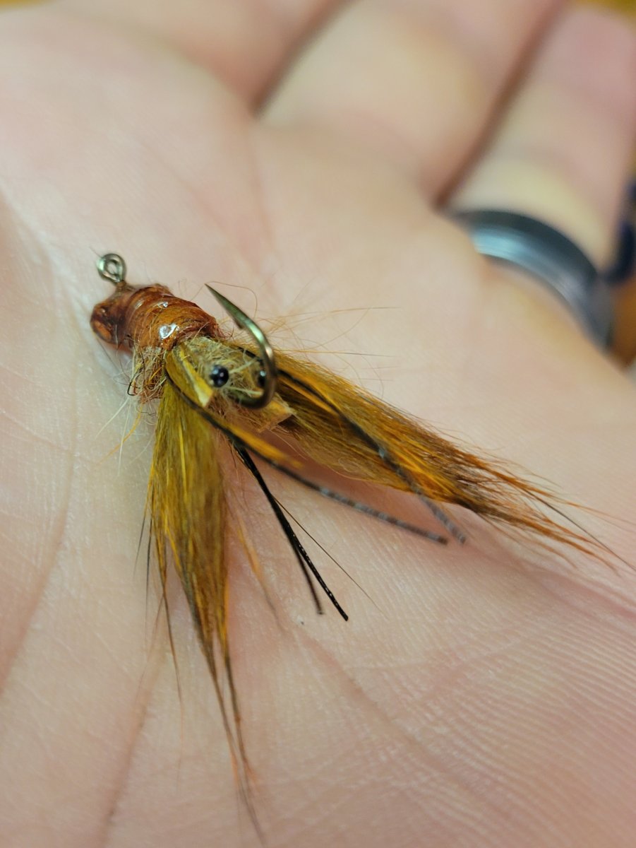 Crayfish-1.jpg