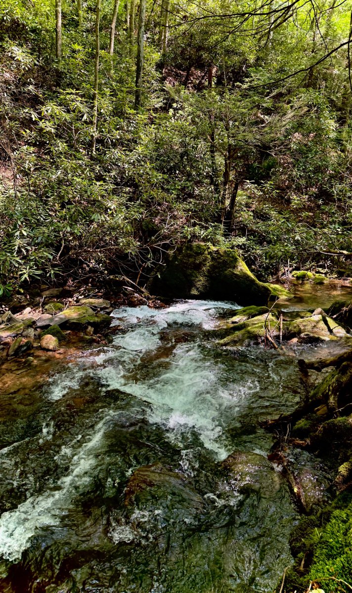 Downstream.jpg