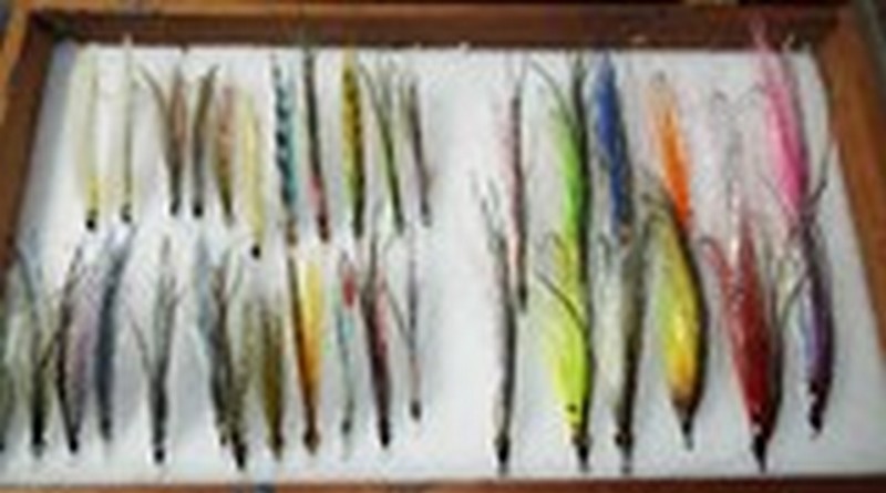 DSCF2404.JPG
