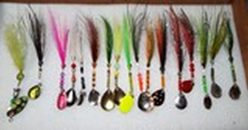DSCF2405.JPG