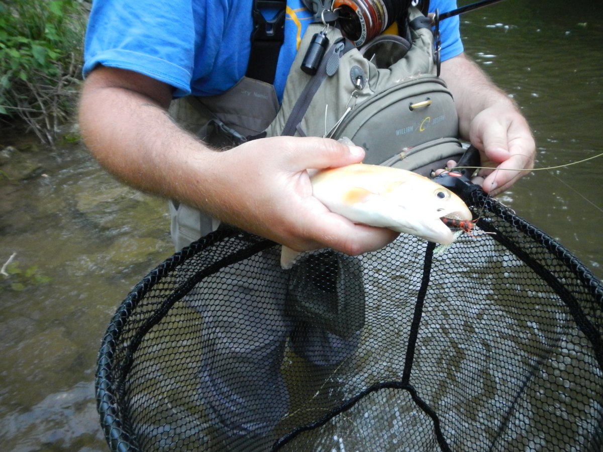 DSCN0426.JPG