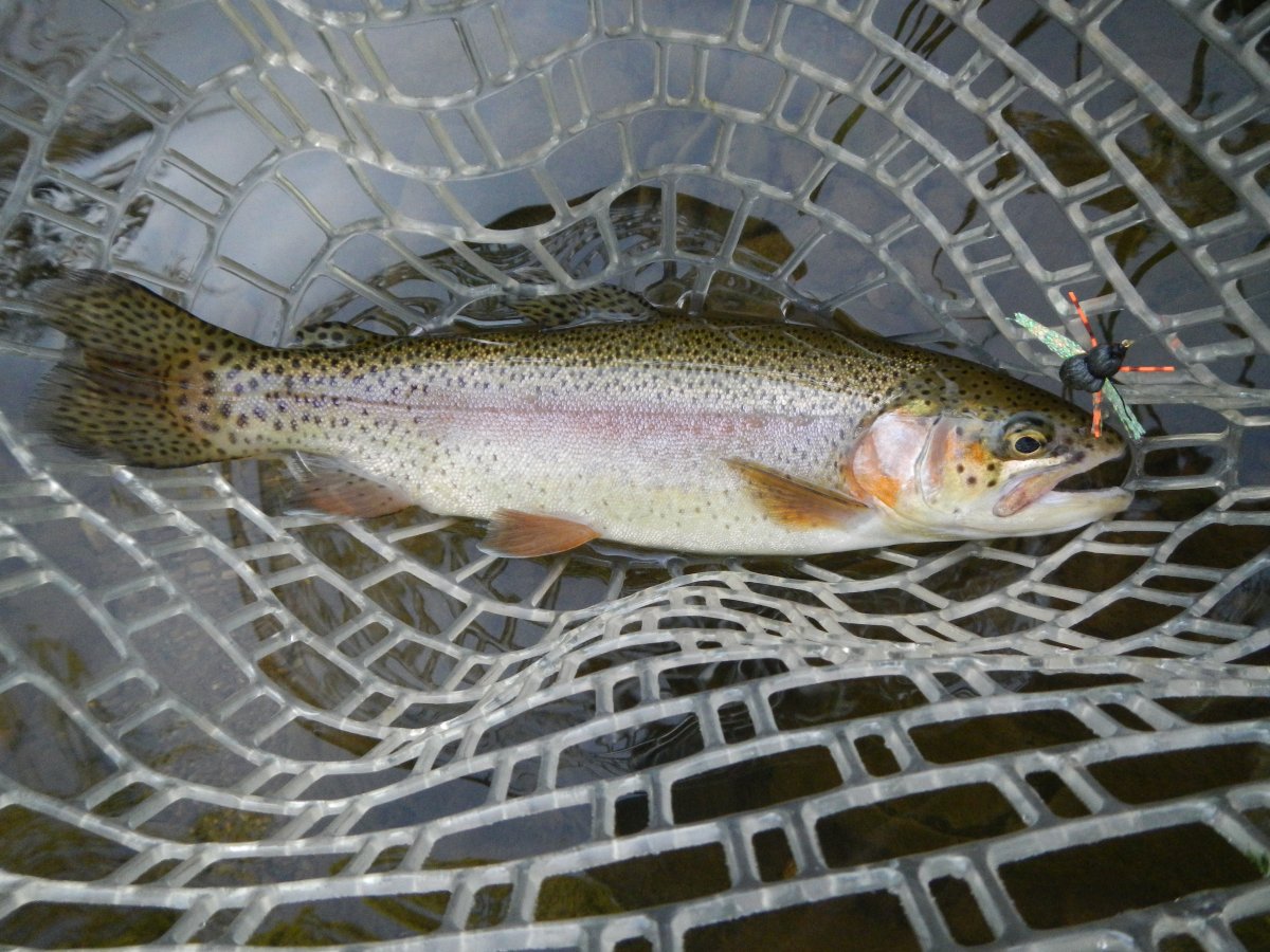DSCN0430.JPG