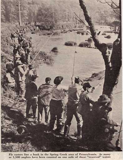 Fisherman's Paradise.jpeg