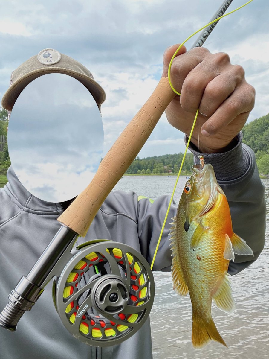 fishy.jpg