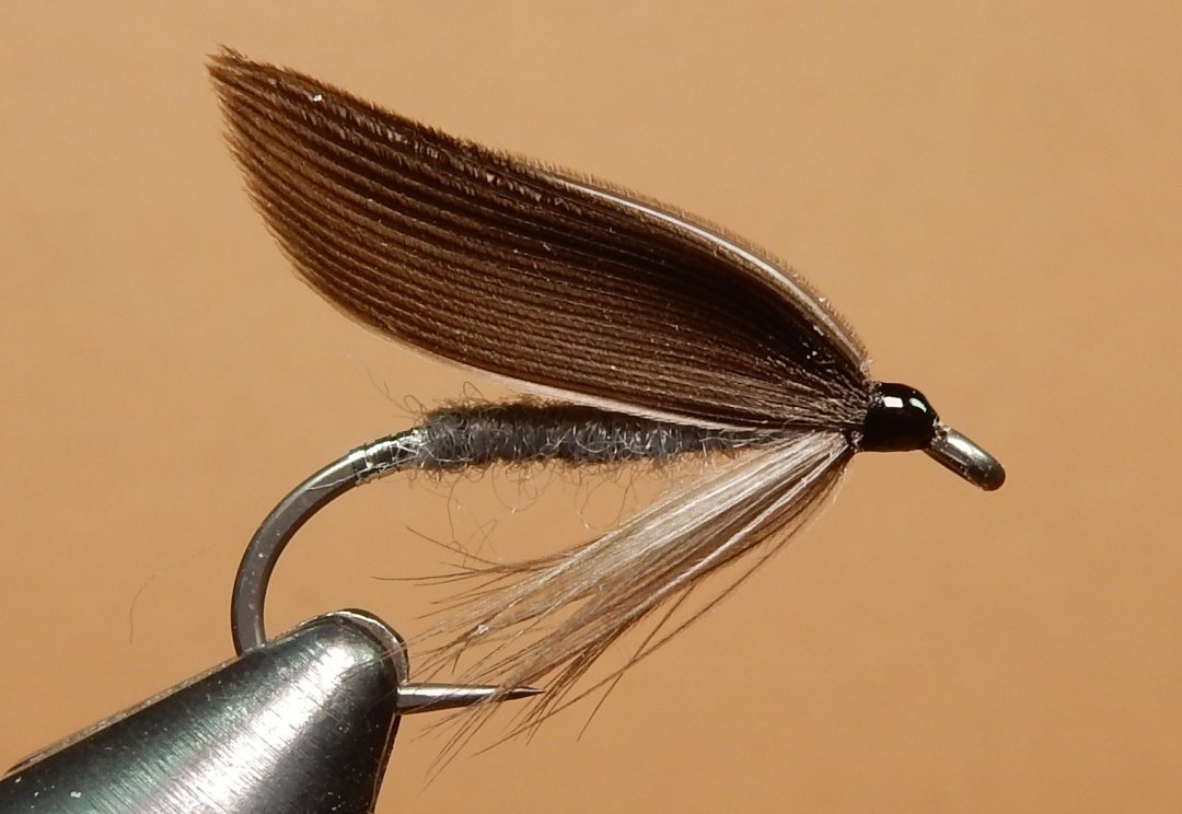 Gray Dun 1080.JPG