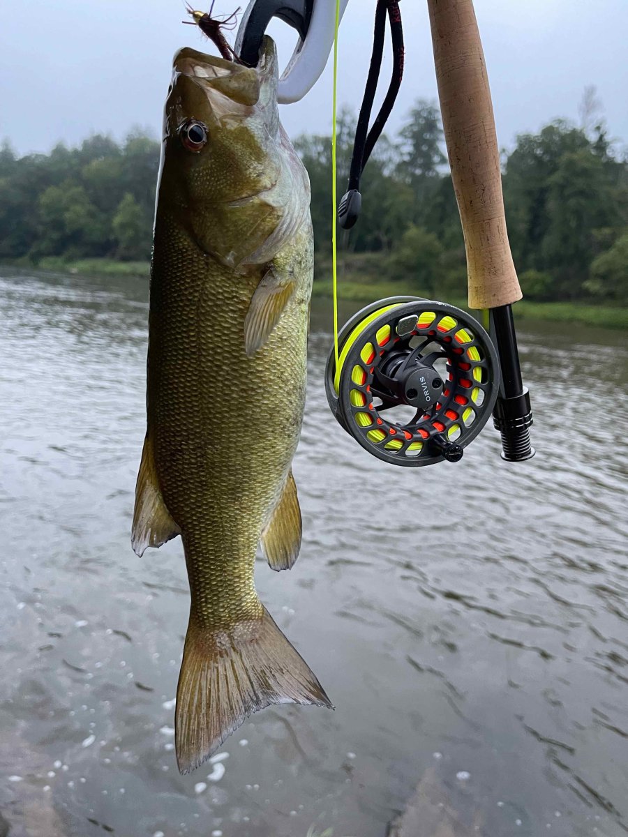 herefishy.jpg