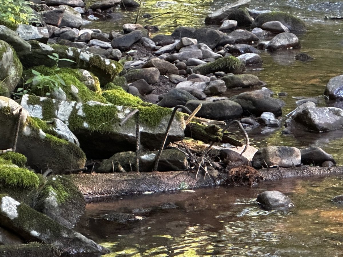 IMG_5649 Large.jpeg