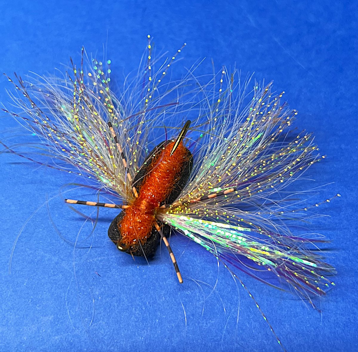 ken's Cicada2.JPG