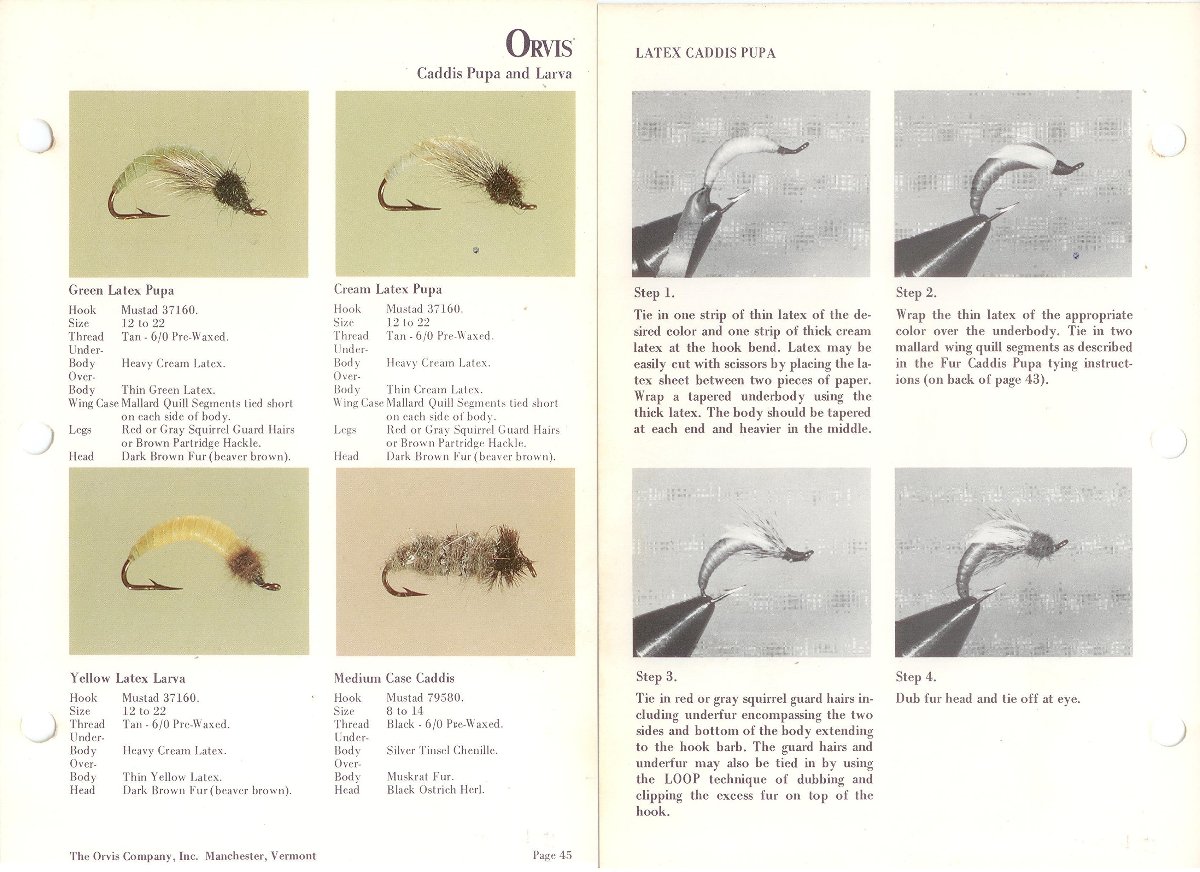 Latex Caddis Larva.jpeg