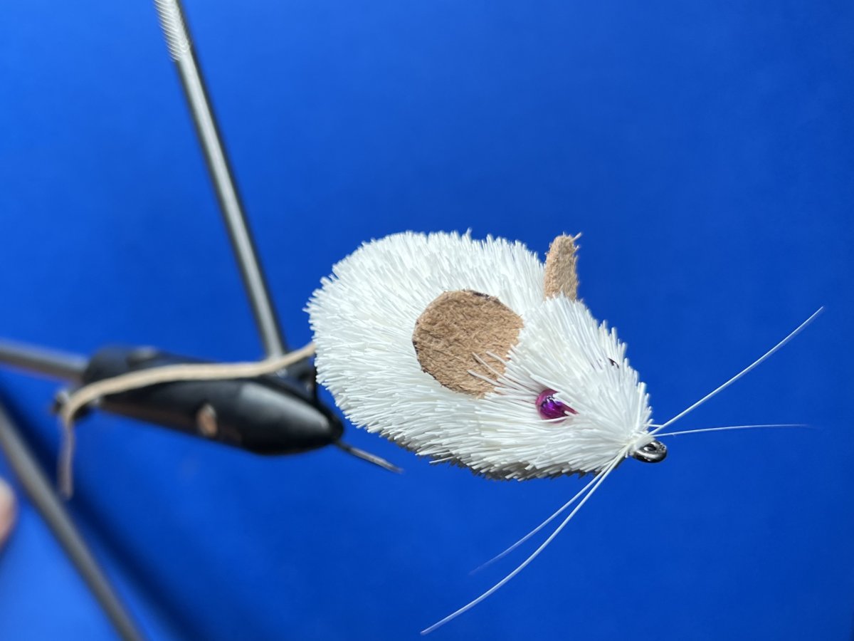 mouse1.JPG