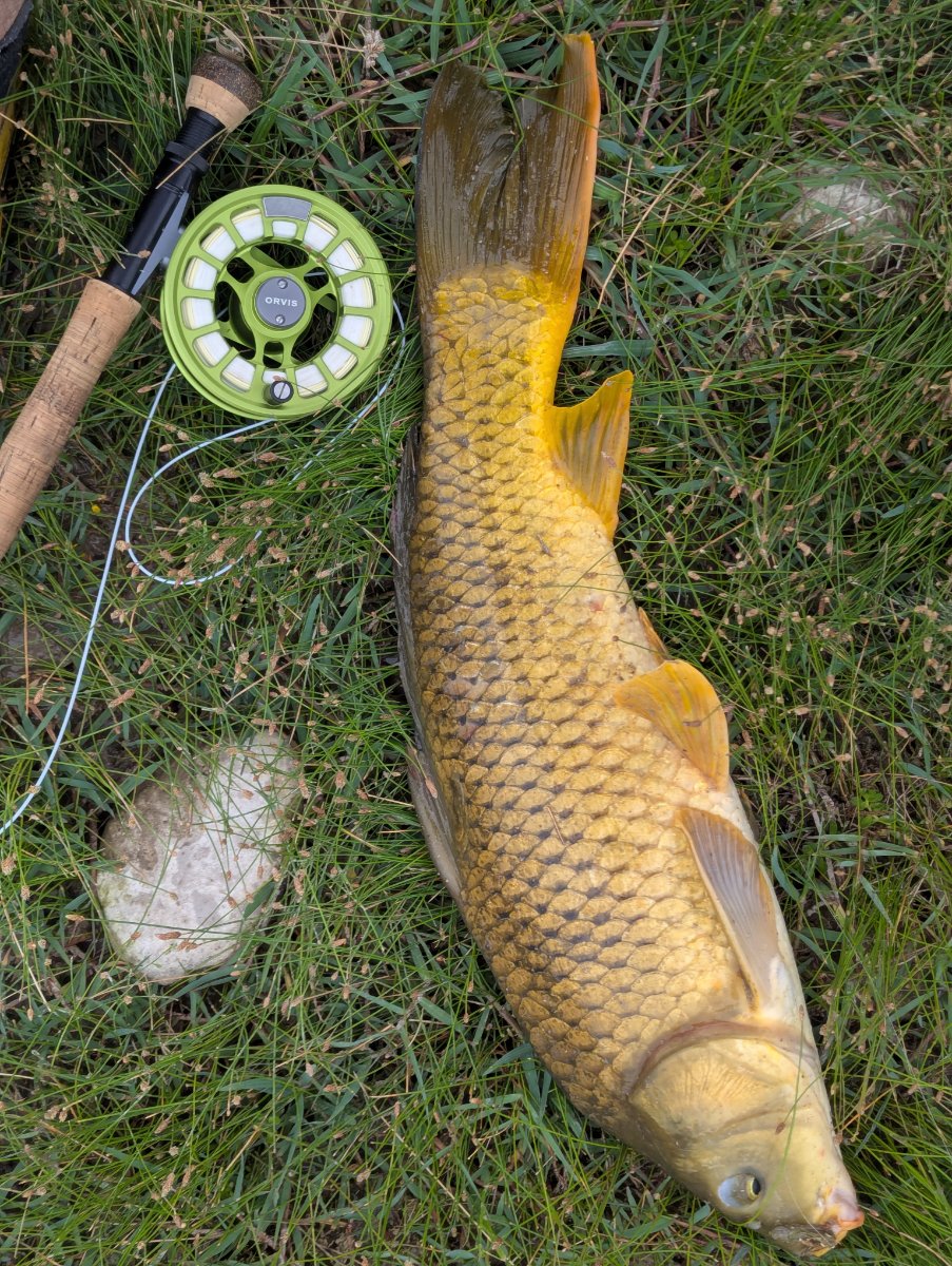 PXL_20250418_223046434.jpg
