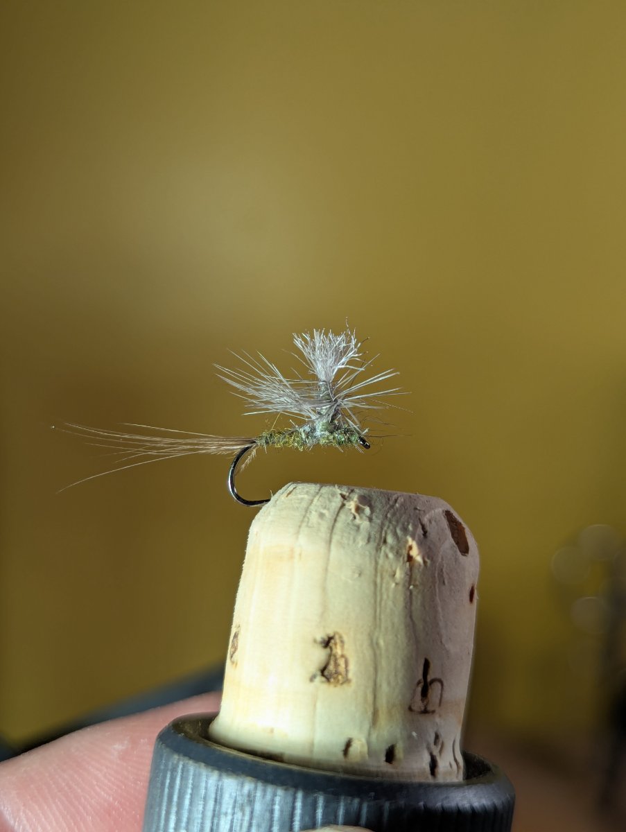PXL_20250620_023050625.jpg