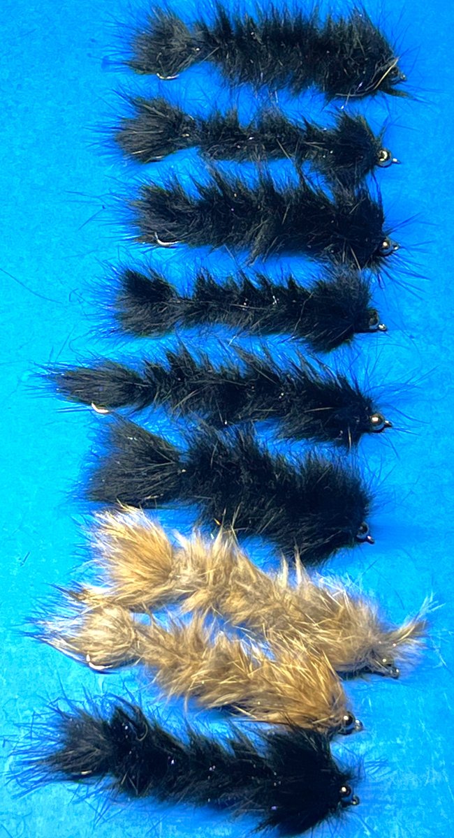 ragworms.JPG
