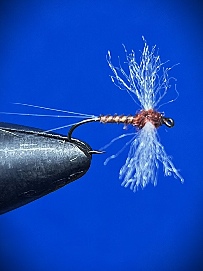 rusty spinner.JPG