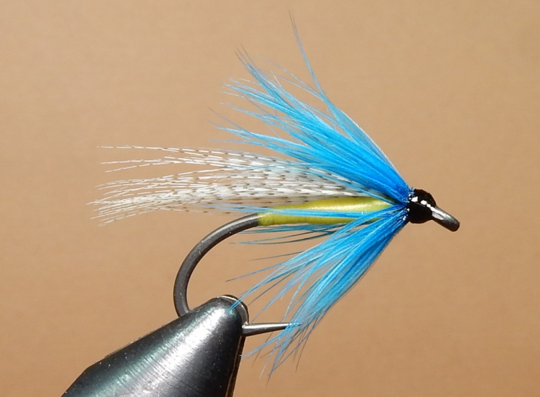 Skipper 1080.JPG