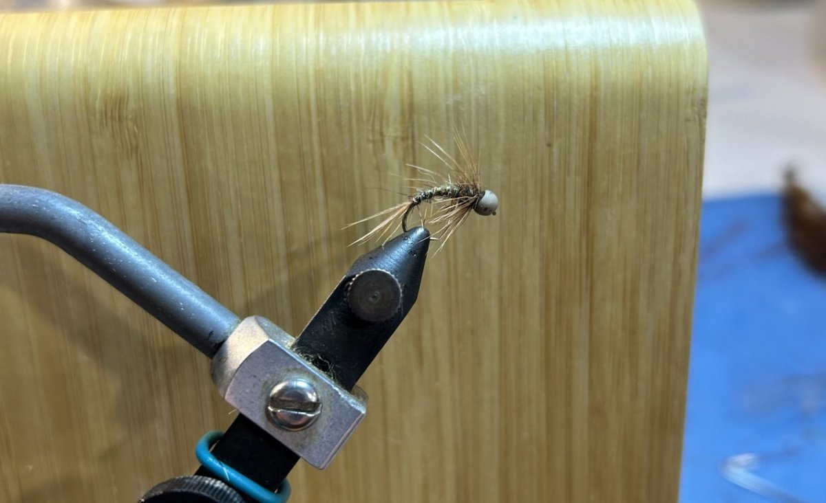 soft hackles.jpg