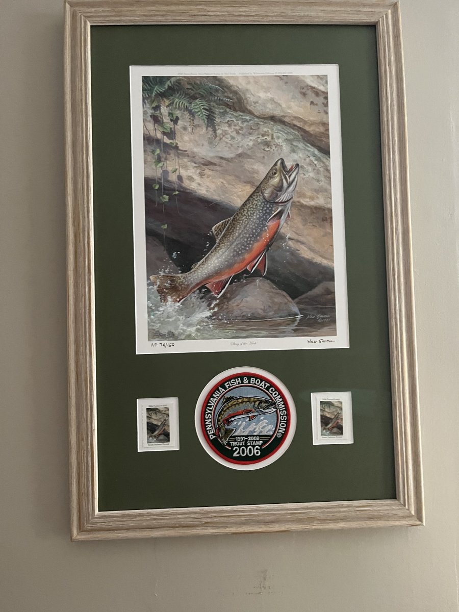 Sting Of The Hook - 2006 PA Trout Stamp Print-50.jpg
