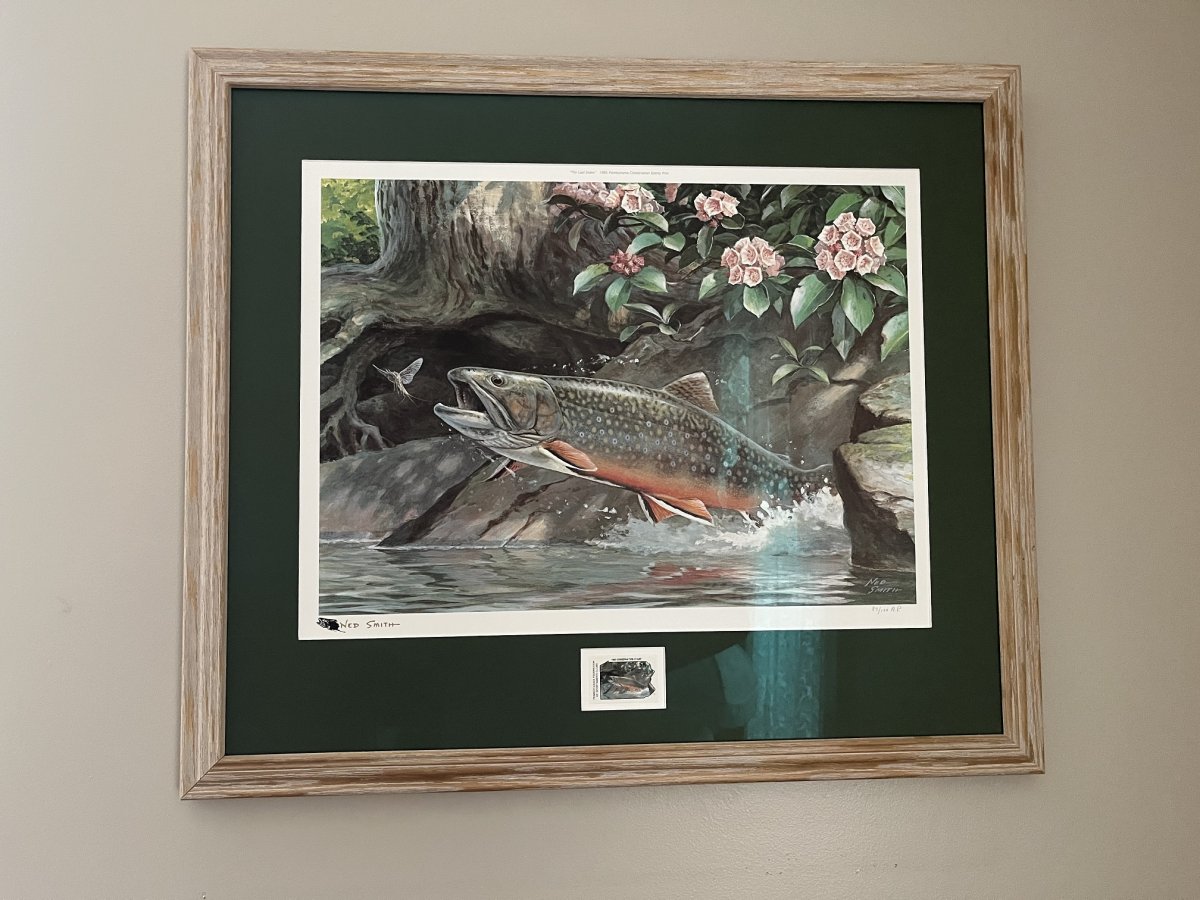 The Last Drake - 1985 Pennsylvania Conservation Stamp Print-50.jpg