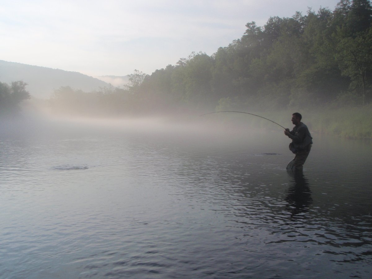 Upper East Branch (15).JPG