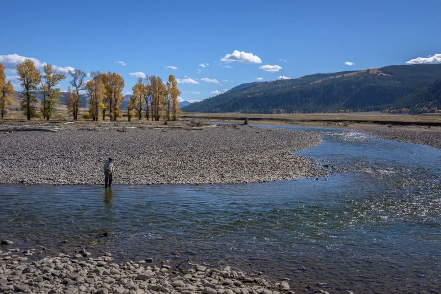 ynp.lamar_.fall-19.jpg