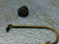 6-21-2010 106.jpg