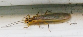 7-11-2011 058.jpg