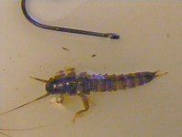 DSCF2071.JPG