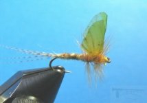 1-27-2011 025.jpg